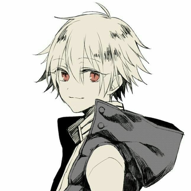 羊驼大伦的头像