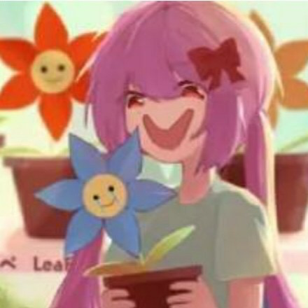 苒柚只会摸鱼的头像