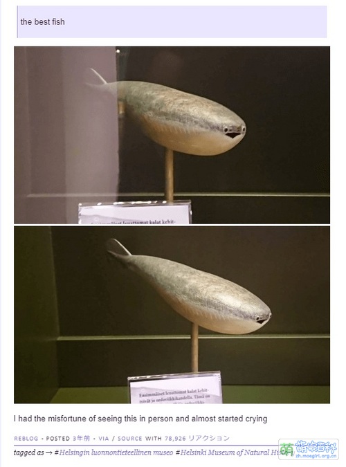 早期照片