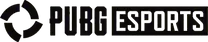 File:PUBG esports.webp