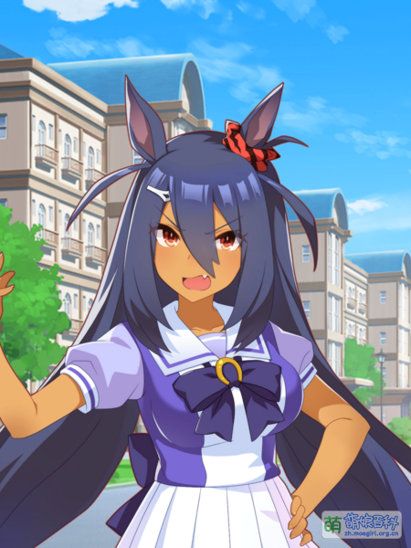 File:UPDSC 10024 HishiAmazon.png