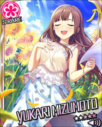 向日葵色的音乐会 SR