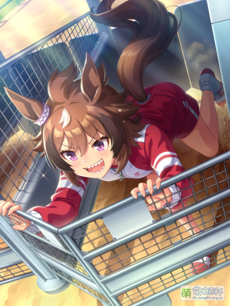 File:UPDSC 20031 ShinkoWindy.png