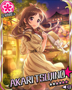 闪闪发光的服侍 SR+