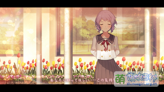 ...In The Name Of。 ...LOVE? SSR