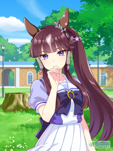 File:UPDSC 10123 LuckyLilac.png