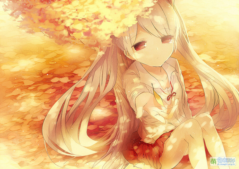 File:33523249 p0.jpg