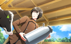 自然な味わい SR