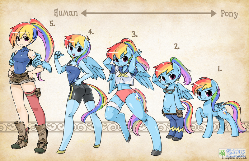 File:Types rainbowdash by shepherd0821-d669bsi.jpg
