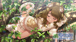 三姉妹カフェ[ネコ] SSR+