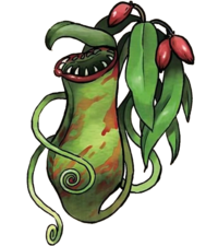 原作中的一种食人植物