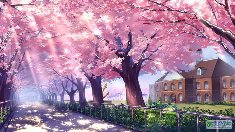 File:BLHX skin bg 103.png