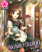 闪闪发光的服侍 SR