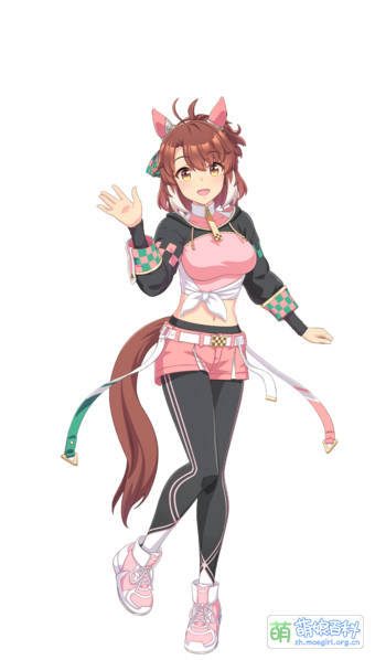 File:UPDCH DantsuFlame 02.png