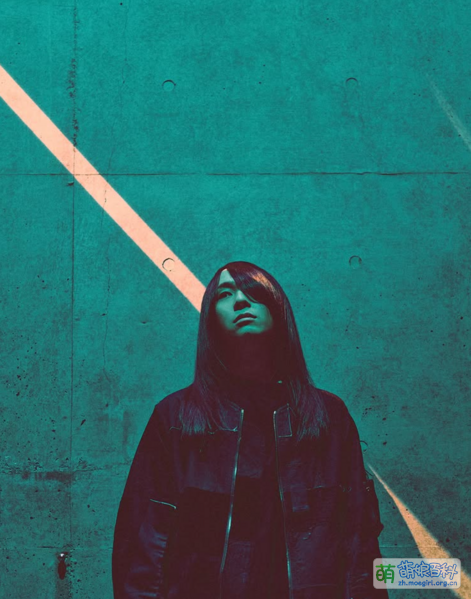 File:Ygarshy photos.png