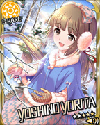 祈愿的六棱花 SR