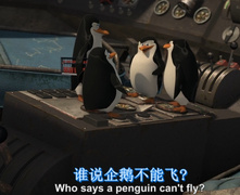 《马达加斯加》