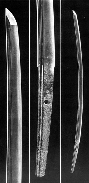 File:龟甲贞宗 本体.jpg