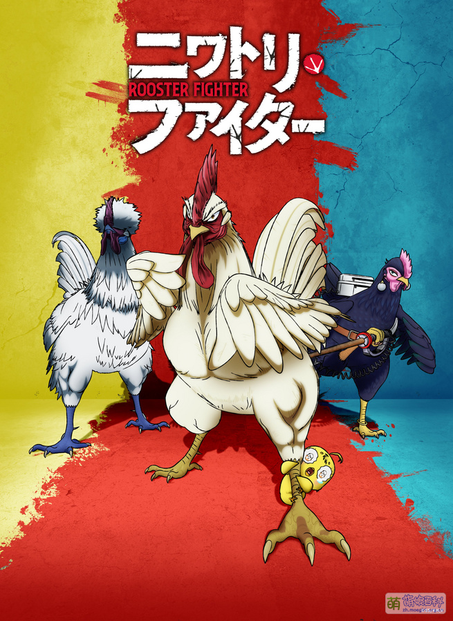 Rooster Fighter