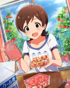 夏のおすそわけ SR