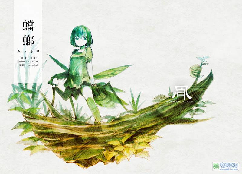 File:17759758 p0.png