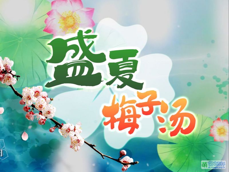 File:春野萌-电子国风原创曲.jpg