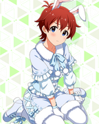 耳としっぽシリーズ SR