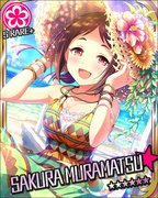 Shiny Vacance SR+