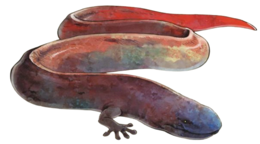 原作中的龙蛇/地龙