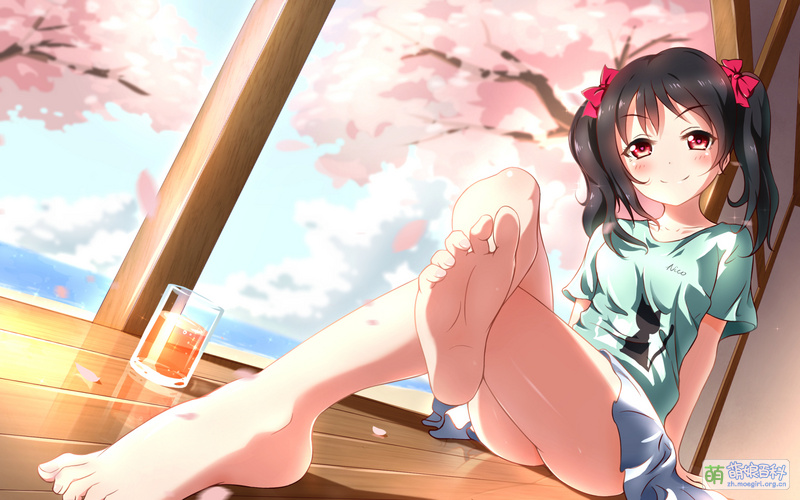 File:51542670 p0.jpg