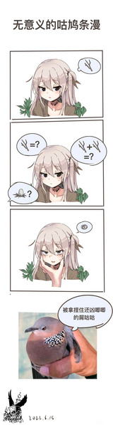 File:Streptopelia chinensis 6.jpg