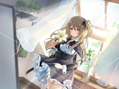 镜头下绽放的百合花