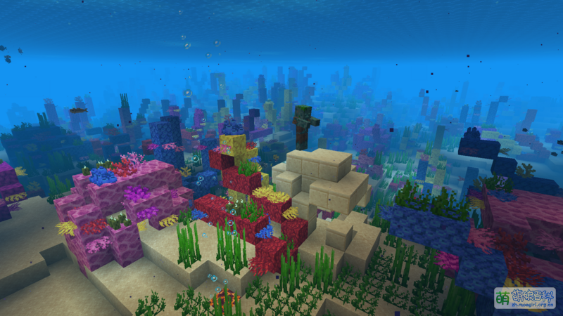 File:Coral reef at night.png