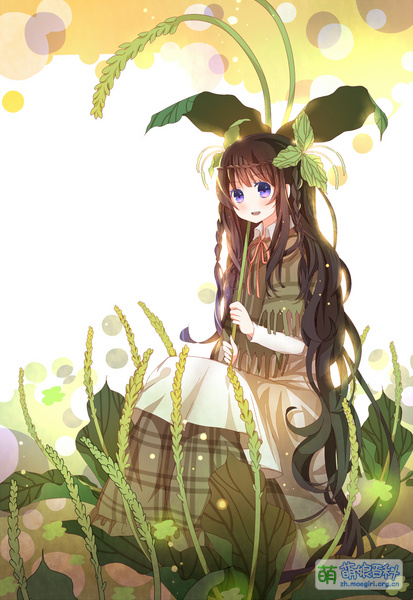 File:Cheqiancaoniang 01.jpg