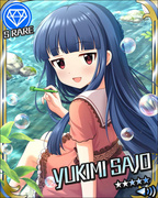 闪闪发光的假日回忆 SR