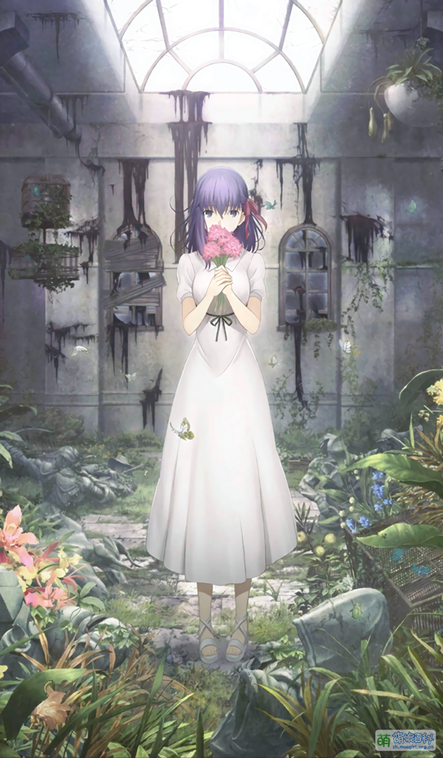 間桐桜 - Moegirlpedia