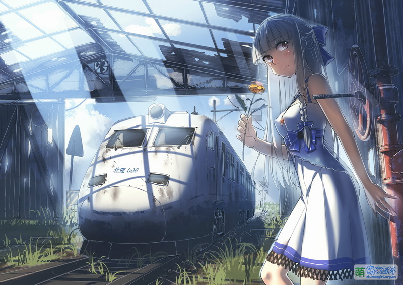 File:49230152 p0.jpg