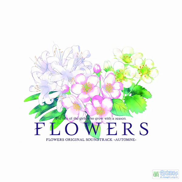 File:FLOWERS OST3.png