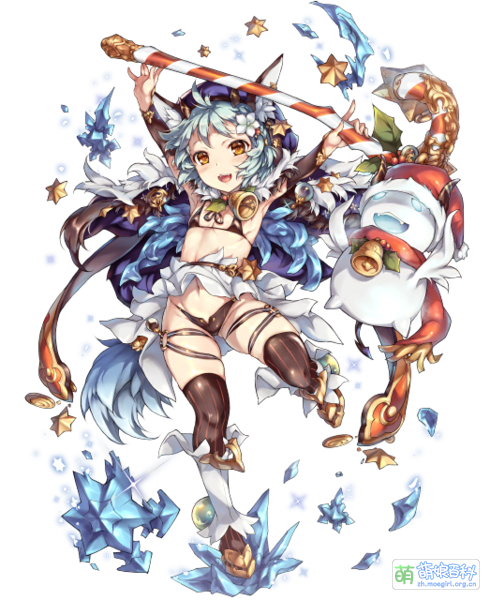 File:Christmas rose-after.png