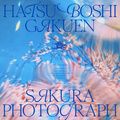 桜フォトグラフ[仅单人演唱]