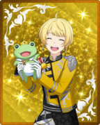 PASSION FESTIVAL SR+