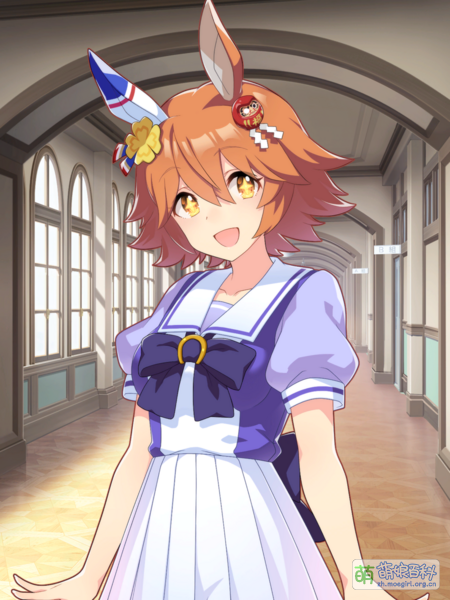 File:UPDSC 10044 Matikanefukukitaru.png