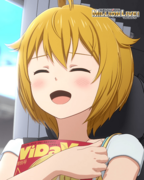 ミリアニセレクション R+