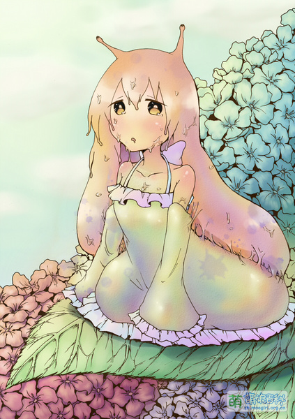 File:29496887 p0.jpg