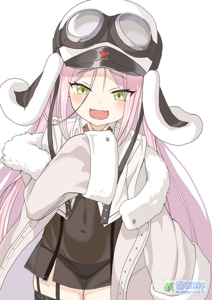 File:灰烬战线 I-220 さえた.jpg