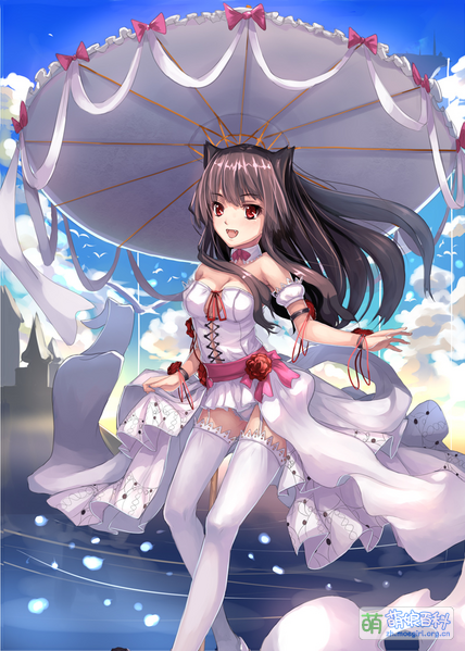 File:40330449 p0.png