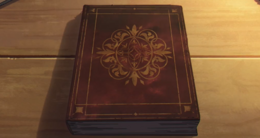 魔导书，发现于贤者埃维希的坟墓中