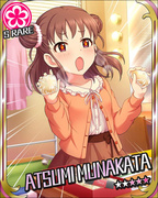 身体接触应援 SR