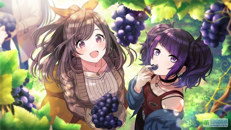 File:S04 kogane SR03.jpg