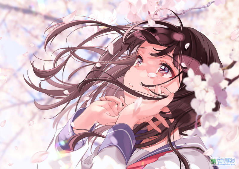 File:ShigureUi pic (2).jpg